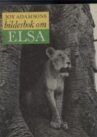 Joy Adamsons bilderbok om Elsa