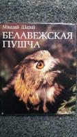 Belovezhskaya pushcha