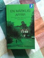En märklig affär