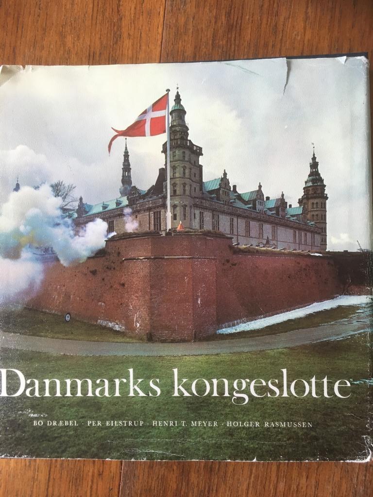 Danmarks kongeslotte