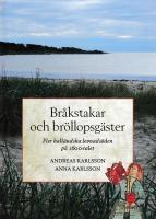 Bråkstakar och bröllopsgäster - Fler halländska levnadsöden på 1600-talet