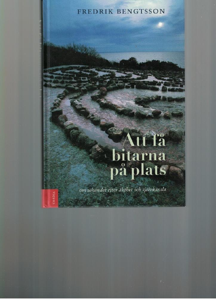 Att få bitarna på plats : om sökandet efter äkthet och självkänsla