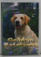 Golden Retriever - Möjligheternas ras