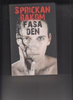 Sprickan bakom fasaden