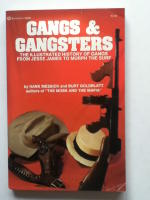 Gangs and Gangsters: The Illustrated history of gangs from Jesse James to Murph the Surf
