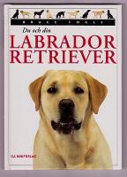 DU OCH DIN LABRADOR RETRIEVER