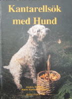 KANTARELLSÖK MED HUND