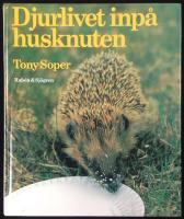 DJURLIVET INPÅ HUSKNUTEN