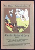 Atlas öfver fjärilar och larver. Häftet 2.