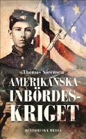 Amerikanska inbördeskriget