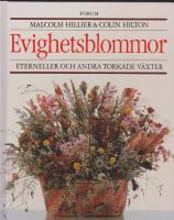 Evighetsblommor