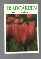 Trädgården. Lök-och knölväxter