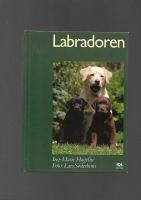 Labradoren