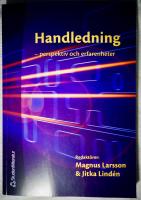 Handledning : perspektiv och erfarenheter