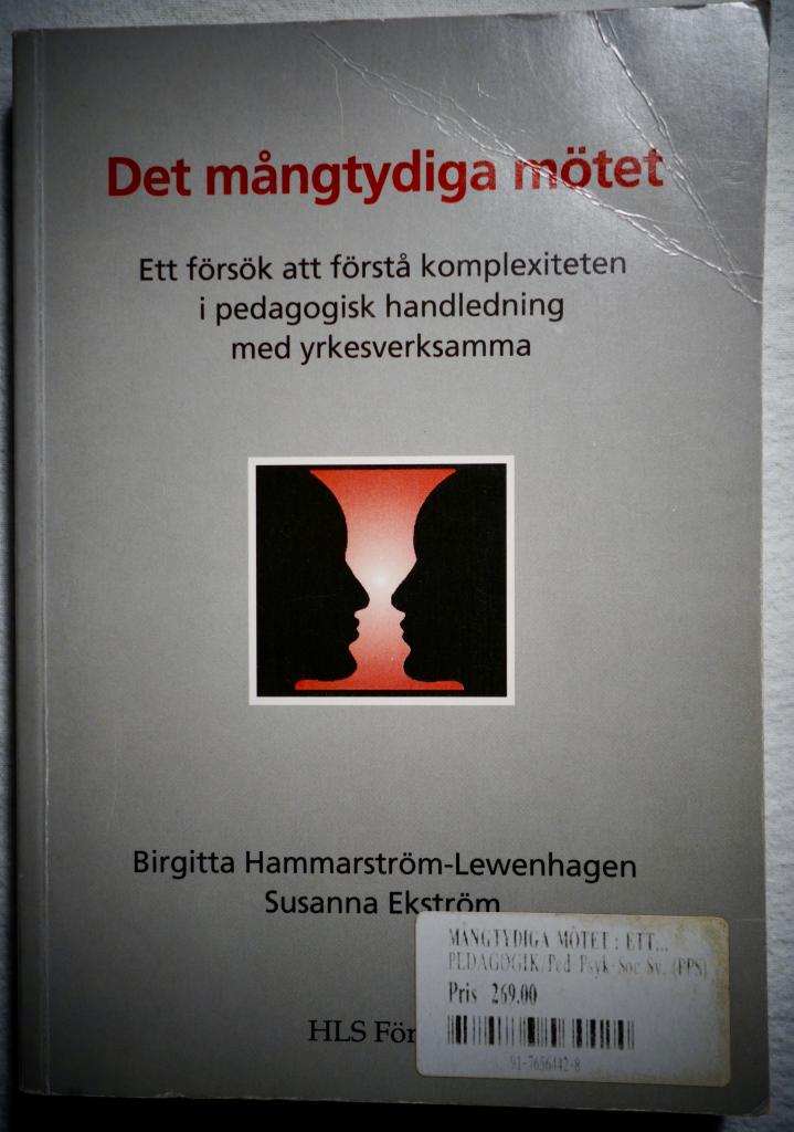Det mångtydiga mötet