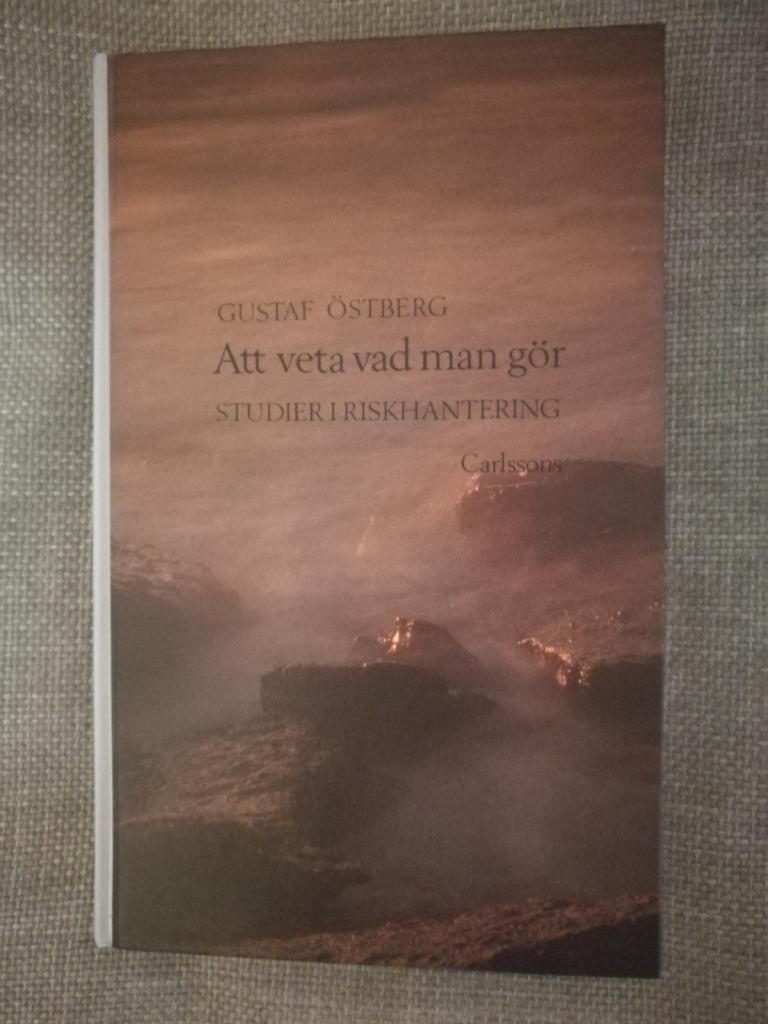 Att veta vad man gör : studier i riskhantering