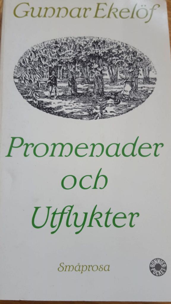Promenader och utflykter : småprosa