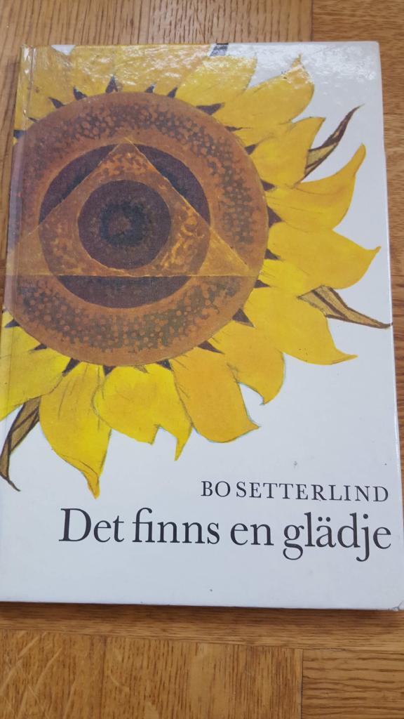 Det finns en glädje