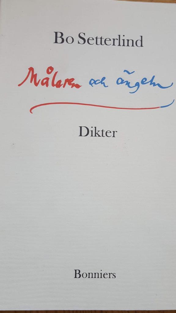 Målaren och ängeln : dikter