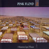 A Momentary Lapse Of Reason