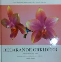 Bedårande orkidéer – från jordens alla hörn
