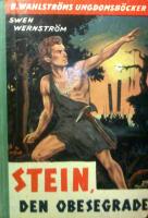 Stein, den obesegrade : Berättelse från yngre stenåldern