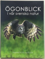 Ögonblick i vår svenska natur
