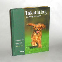 Inkallning är så mycket mera