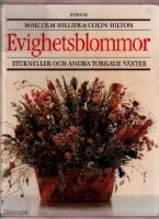 Evighetsblommor - eterneller och andra torkade växter