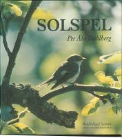 Solspel