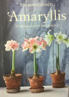 Amaryllis : älskad vinterblomma!