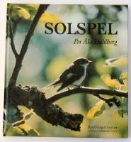 Solspel