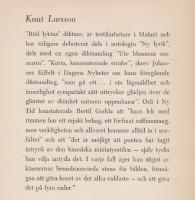 Röd lykta