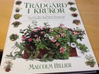 Trädgård i krukor