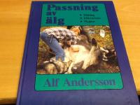 Passning av älg. Flåning. Efterarbete.Hygien
