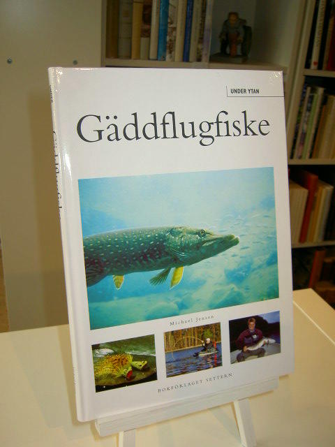 Gäddflugfiske - Under ytan
