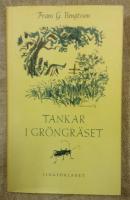 Tankar i gräset