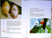 CHOKLAD en handbok