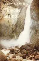 Tingens ådring