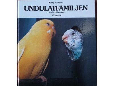 Undulatfamiljen - Andrea får ungar.