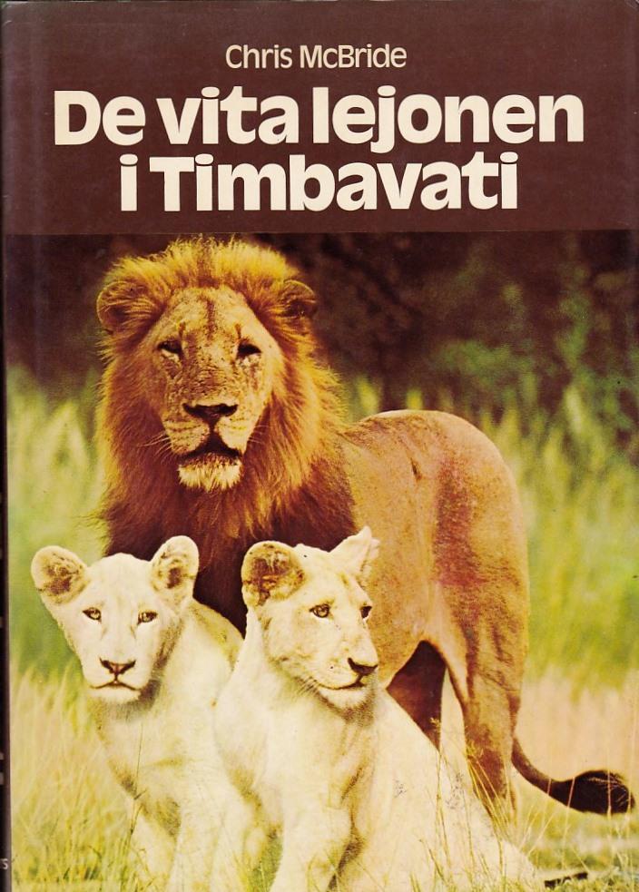 De vita lejonen i Timbavati