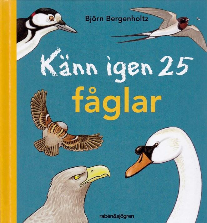 Känn igen 25 fåglar