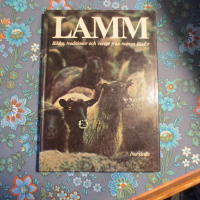 Lamm