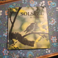 Solspel