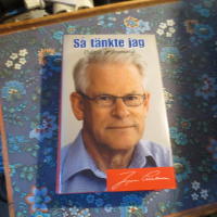 Så tänkte jag. Politik & dramatik