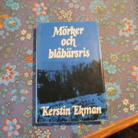 Mörker och blåbärsris