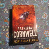 Flyg fula fluga