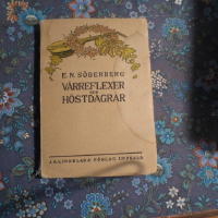 Vårreflexer och höstdagar