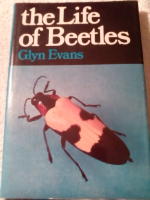 The Life of Beetles