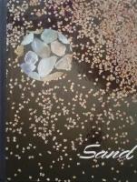 En bok om sand
